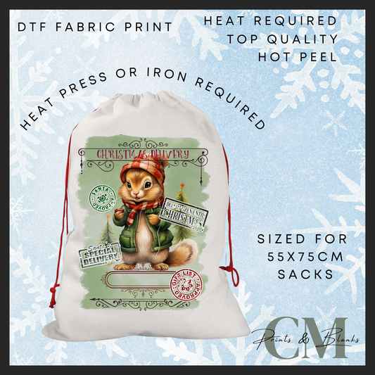 Christmas delivery DTF Santa sack transfer