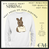 Easter jelly teddy DTF transfers