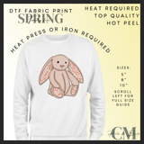 Easter jelly teddy DTF transfers