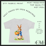 Present bunny DTF transfer