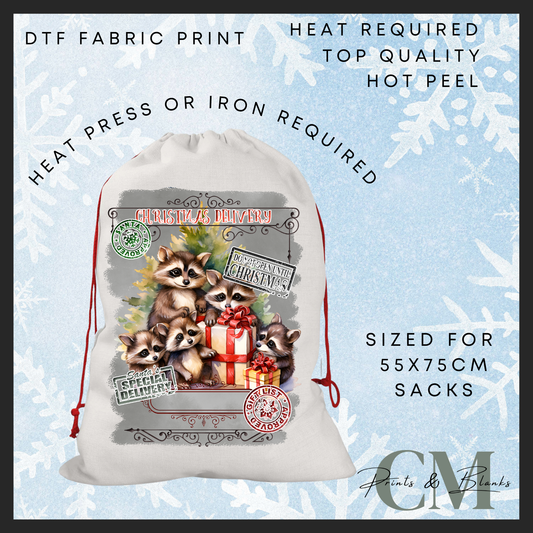 Raccoon DTF Santa sack transfer