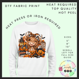 Pumpkin Highland DTF transfer