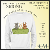 Easter jelly teddy DTF transfers