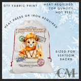 Cub DTF Santa sack transfer